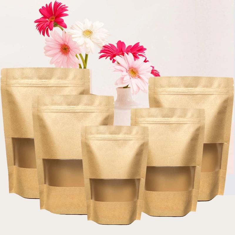 Moisture-Proof Biodegradable Food Packaging Stand up Ziplock Plastic Bag