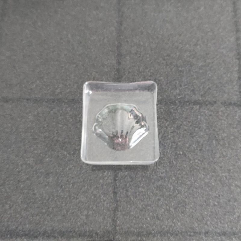 Small PVC/PET/PP Clear Transparent Plastic Blister Packaging Inner Tray