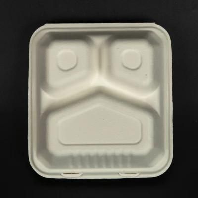 Biodegradable Compostable Disposable Eco Friendly Bagasse Sugarcane Food Packaging