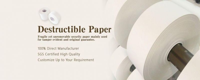 A3 Blank White Vinyl Destructible Fragile Paper for Printing