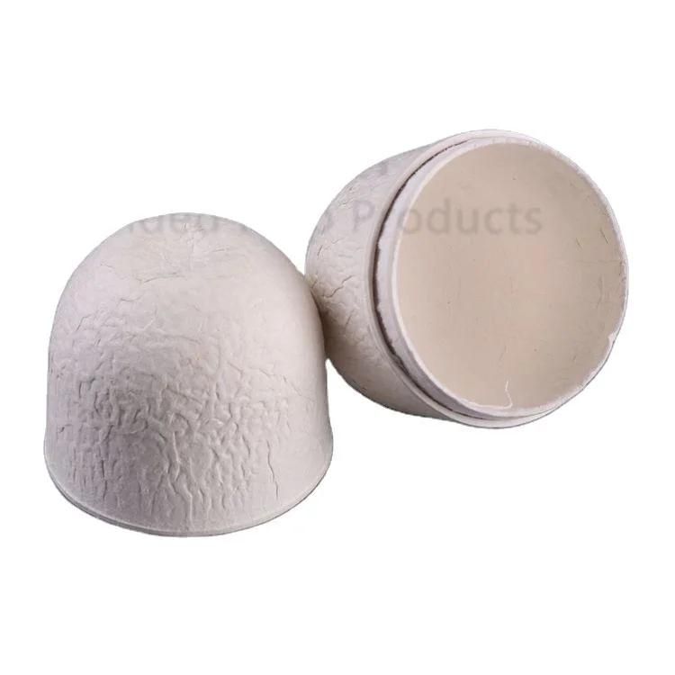 Disposable Compostable Sugarcane Bagasse Egg Shape Case