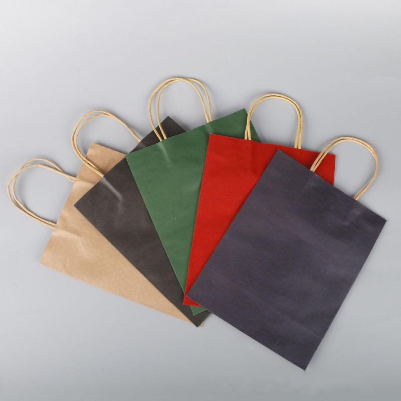 OEM Package Kraft Paper Bag Custom Made Printed Logo with Twisted Rope Handle