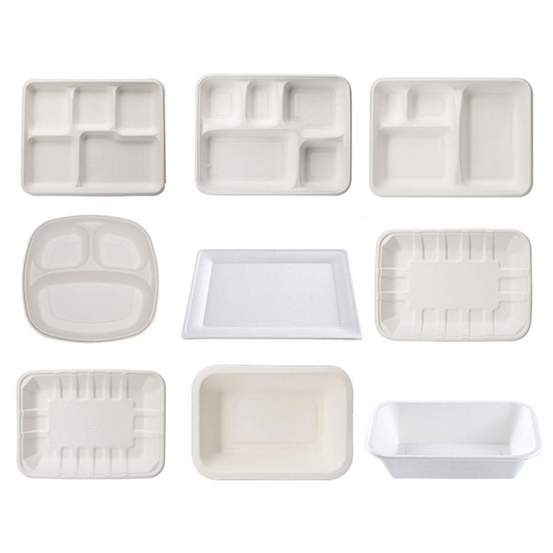 Biodegradable Disposable Sugarcane Food Container Bagasse Paper Food Packaging