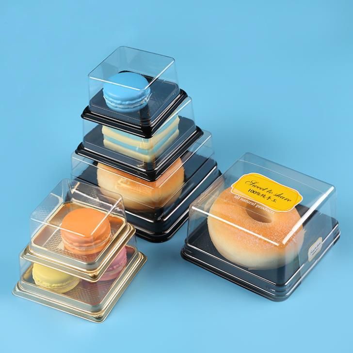 Disposable Cake Container Plastic Packaging Pastry Square Dome Box