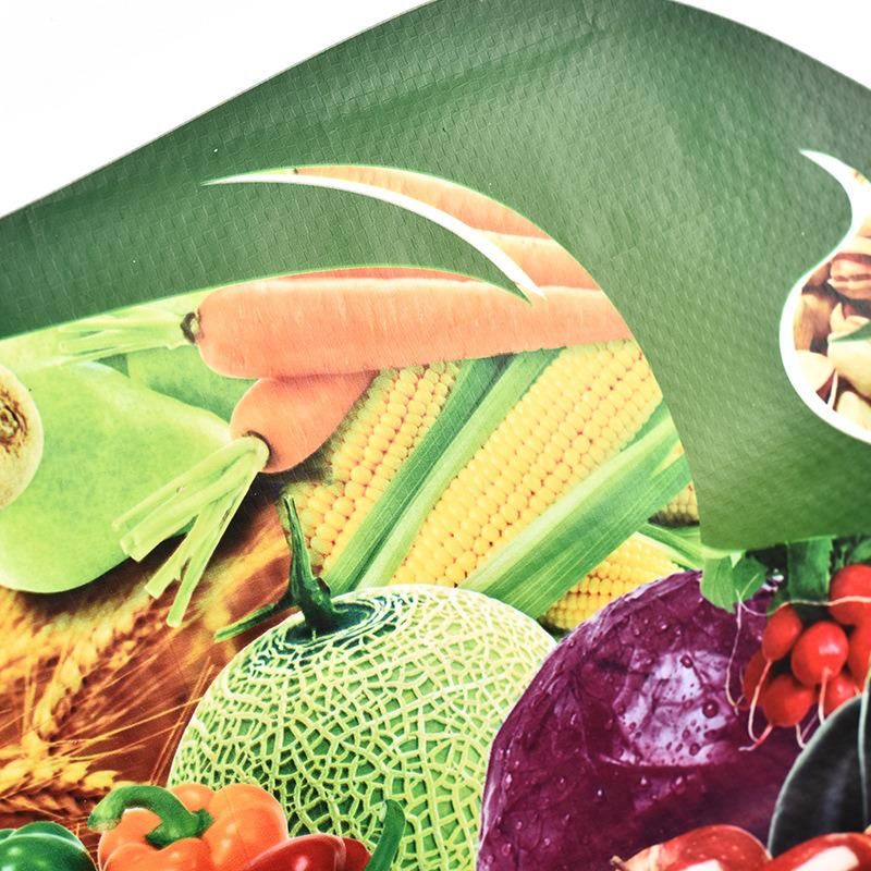 Design Color Printing 20kg 25kg 30kg 50kg Feed BOPP Laminated PP Woven Plastic Bag