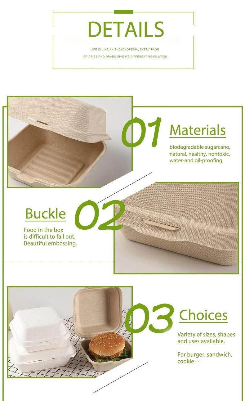 Eco Friendly Takeout Containers Biodegradable to Go Box Restaurant Food Clamshell Boxes