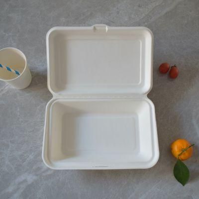 Disposable Sugarcane Food Containers with 2 Compartments
