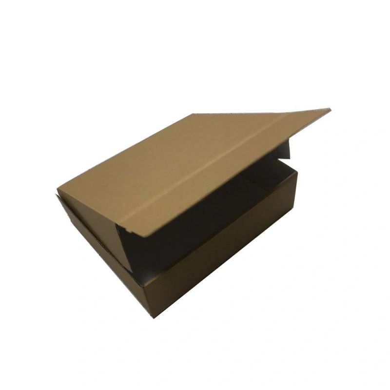 Custom Carton Packaging Box for Shipping