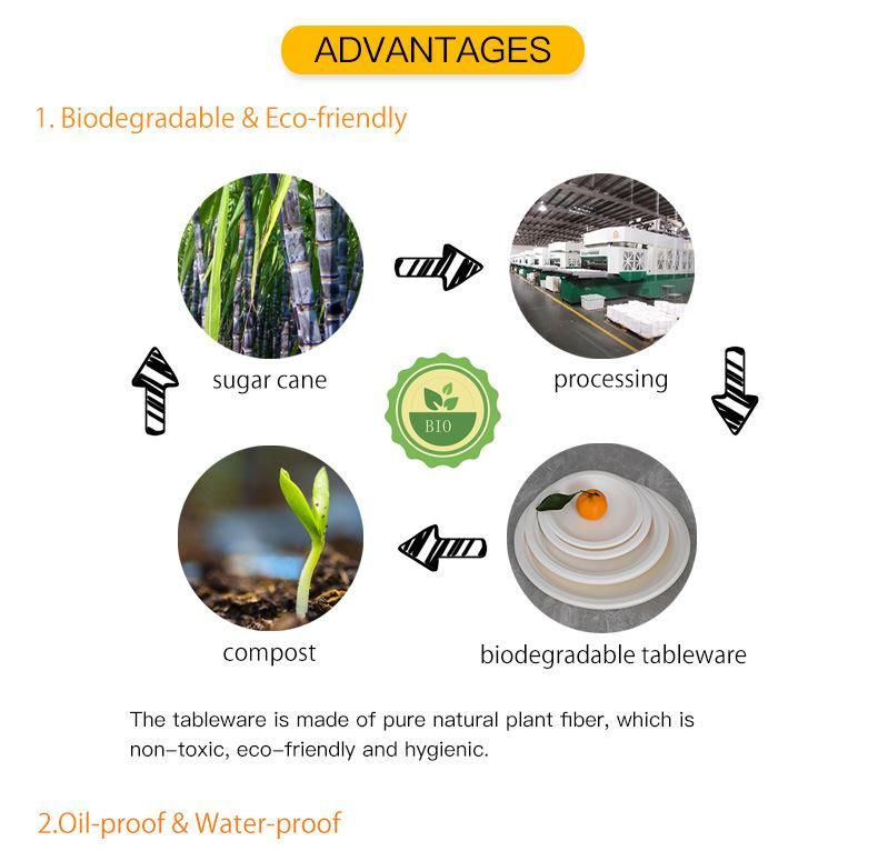 Compostable Disposable Sugarcane Bagasse Food Biodegradable Tableware