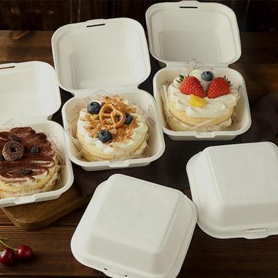 Biodegradable Sugarcane Paper Pulp 6&prime; &prime; Hamburger Box