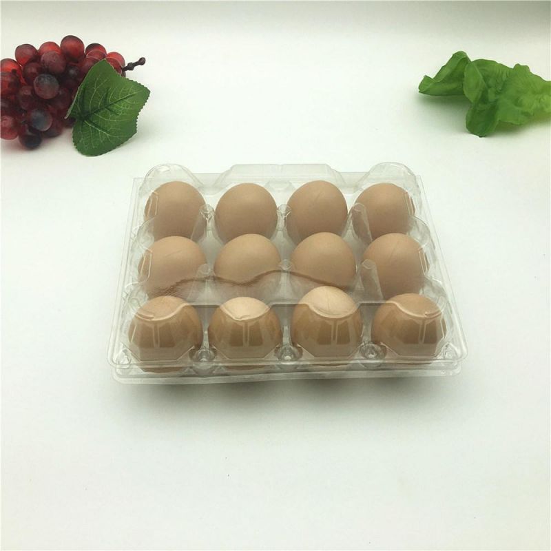 Pet Disposable Plastic 12holes Egg Tray Container