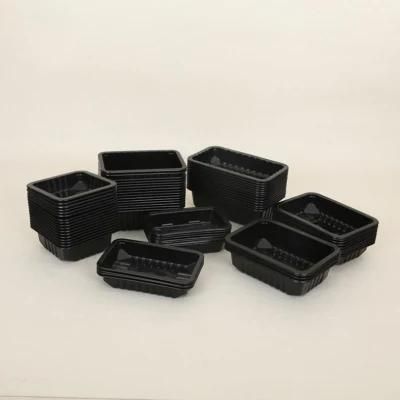 Wholesale Vacuum Formed Biodegradable Disposable Food Grade Plastic Tray