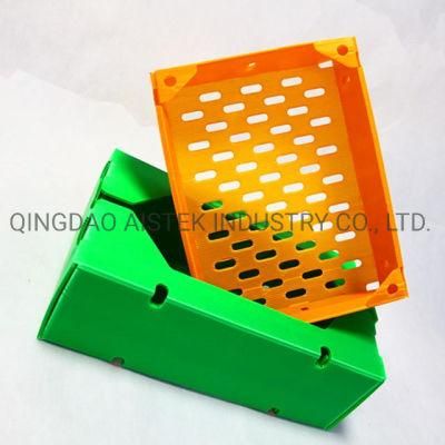 Reusable Polypropylene Corrugated Plastic Carton Box for Packing