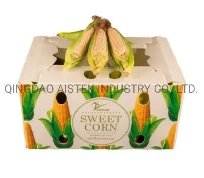 Polypropylene Coroplast Carton Box for Fruit Vegetable Fish Seafood Packing