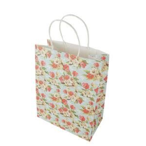 Custom Die Cut Handle Kraft Paper Gift Bag Colorful Paper Bag with Logo Print