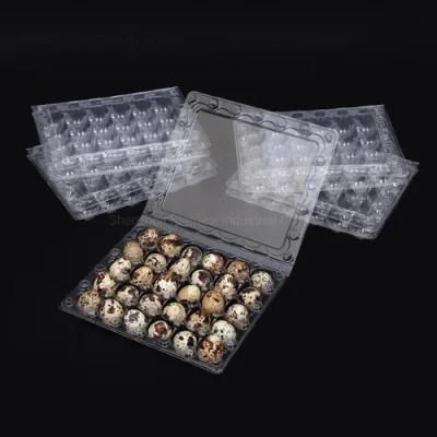 Wholesale Transparent Plastic Quail Egg Carton Box Tray Packaging