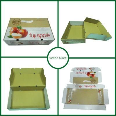 Two Piece Corrugated Carton Box for Fruit Packaging