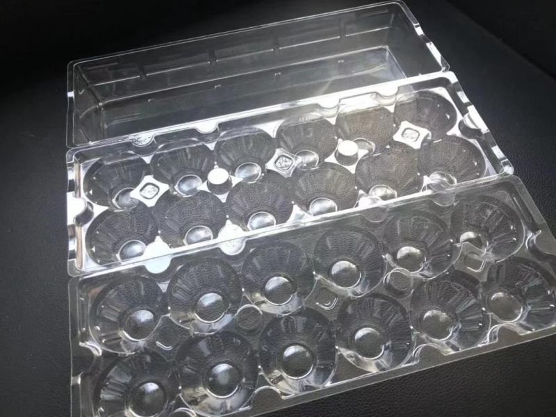 12 Cell Tri-Fold Egg Carton Tri-Fold Plastic Packaging Pet Egg Tray