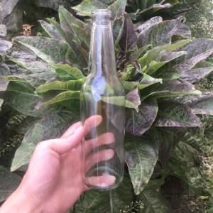 Wholesale 330 Ml Clear Beer Glass Bottle with Crown Cap From Factory