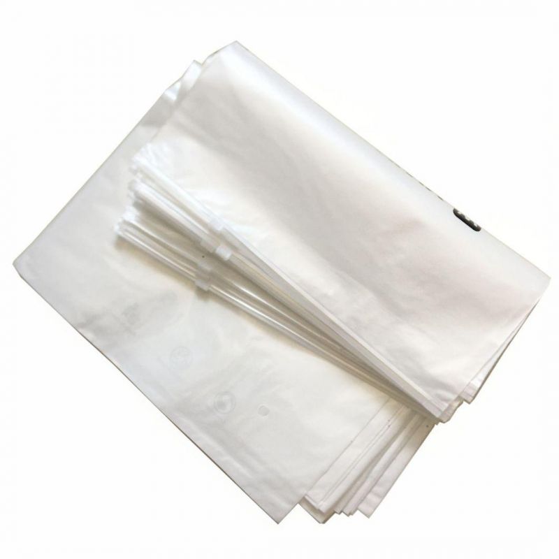 PE Plastic Zipper Bags for Clothing Packaging Bags Poly Bag OEM