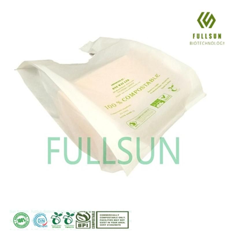 Biodegradable Handbag Tote Packaging DIN Custom Compostable Shopping Plastic Bag