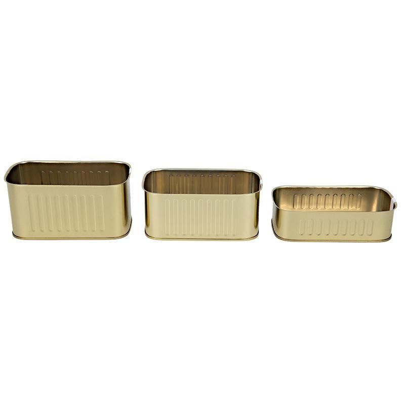 Club Sardine Fish Can and Rectangular Can