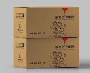 Custom High Quality Corrugated Board Flexo Online Shopping Carton Box / Express Carton Box