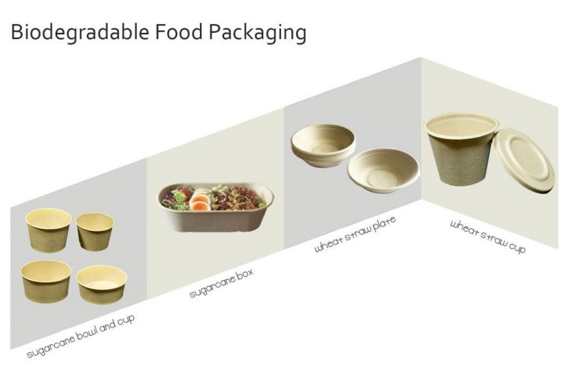 Disposable Food Container Packaging Box Biodegradable Paper/Packing/Storage/Packaging/Lunch Box Sugarcane Bagase 850ml 1000ml