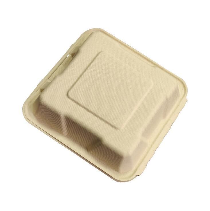 Eco Friendly 8*8 9*9 7*5 Inch 3 Compartments Compostable Bagasse Sugarcane Pulp Disposable Biodegradable Meal Food Box Compostable Clamshell Hamburger Tableware