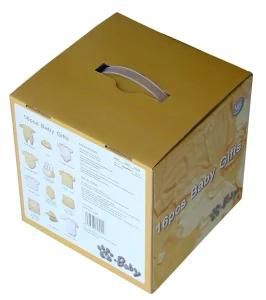 Corrugated Box/Carton Box (ST-BX-03)