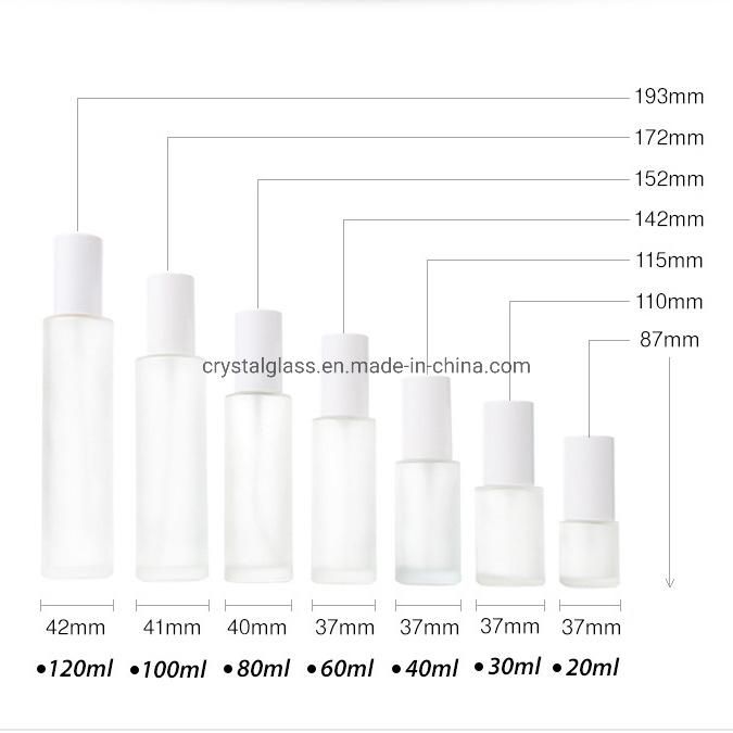 20ml 30ml 60ml 80ml 100ml 120ml Glass Lotion Bottle for Cosmetic Packing