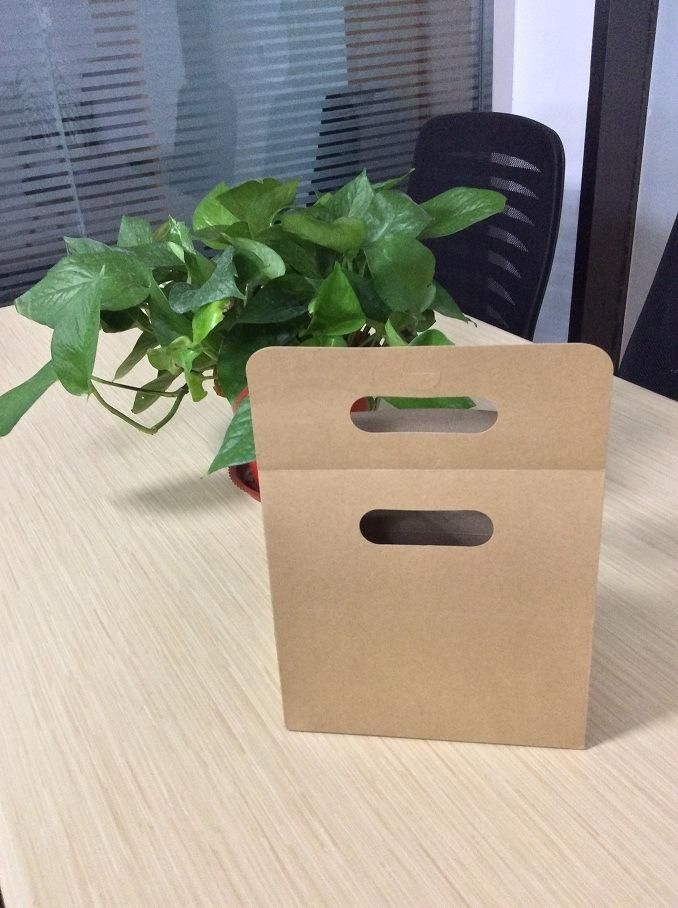 100% Eco-Friendly Art Paper/Cardboard with Custom Logo Printed Packaging Bag