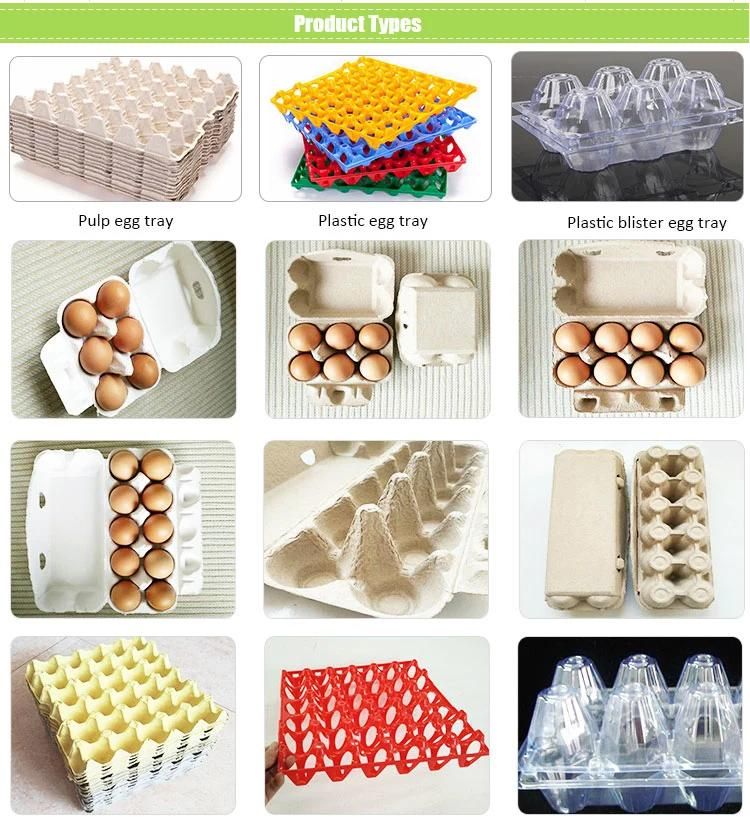 Reusable Injection 30 Holes Plastic Rectangular Egg Tray