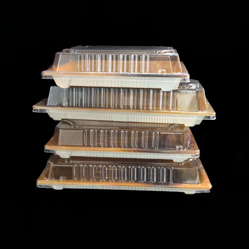 Manufacturer Sushi Foods Packaging Disposable Plastic Sushi/Bread/Cake/snack Container With Lid