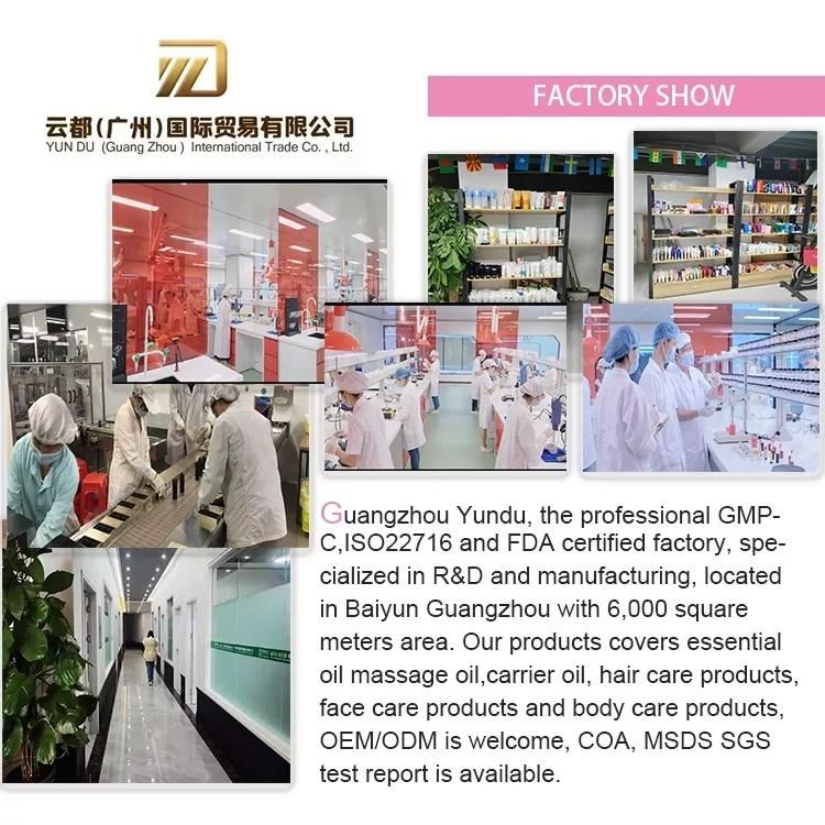 Cute Hand Cream Tube Cosmetic Tube Manufacturing Hand