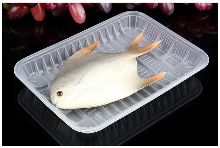 PP  frozen food tray/beef tray/fish tray in supermarket or storage