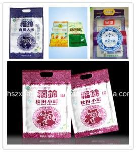 Stand up Packaging Rice Bag with Euro Hole