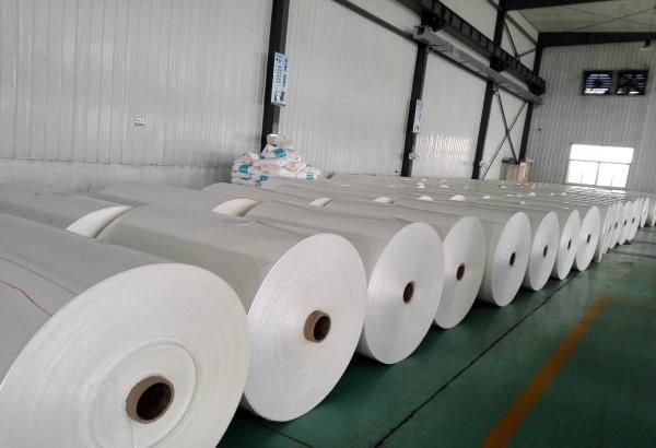 PE Coated Freezer Paper Roll