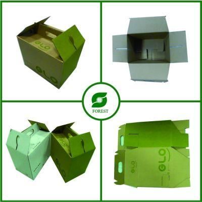 Custom Color Design Cardboard Box with Handle