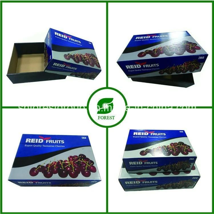 Vegetable & Fruit Packing Paper Corrugated Box (FP020007)