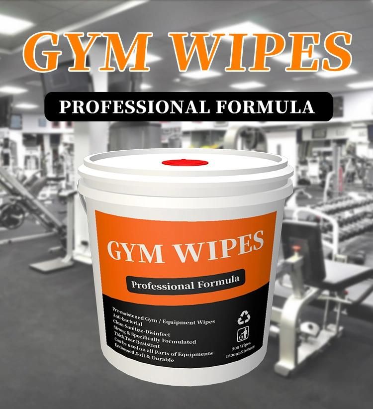 Biodegradable OEM/ODM Wipes for Cleaning Machine Gym Wipe