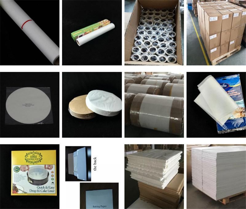 White Color Grease /Oil Proof Paper Rolls or Sheets Customized