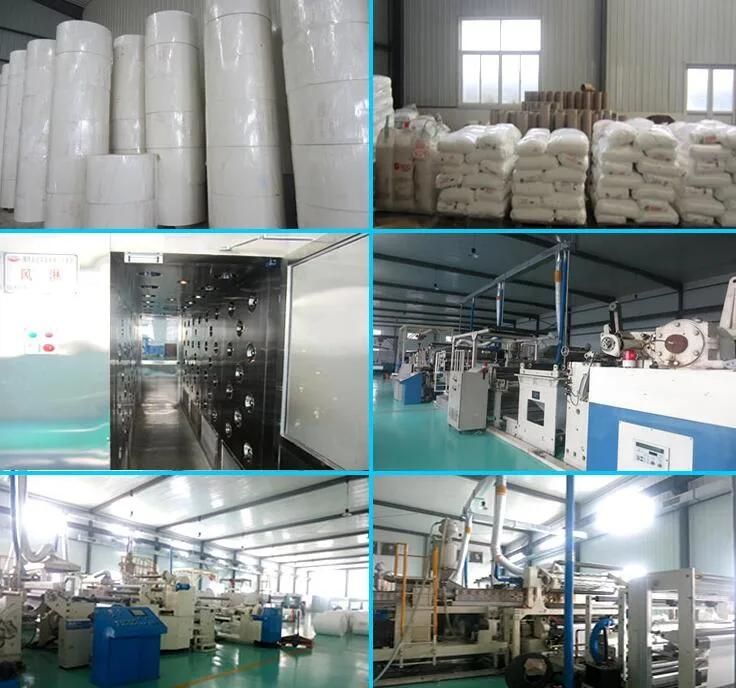 Sterilizing Paper Bag Raw Material, PE Coated Paper