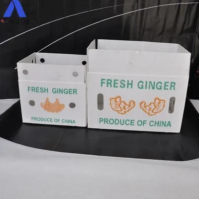 Factory Direct Custom Various Types of PP Corrugated Packaging Boxes