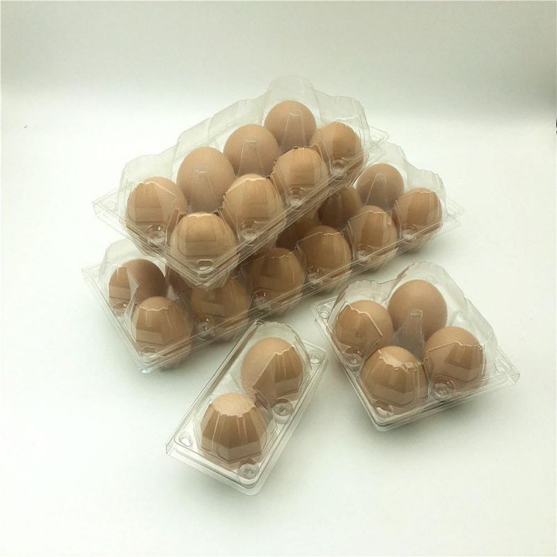 Pet Disposable Plastic 12holes Egg Tray Container