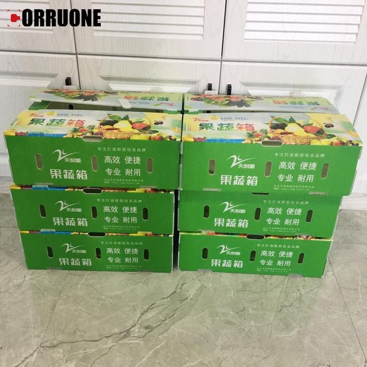 Corrugated Plastic Box for Vegetable and Fruit Boxes for Seafood Boxes of Correx Boxes and Coroplast Box