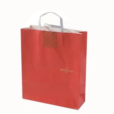 Custom Recyclable Twist Handle Printed Shopping Brown Kraft Paper Bag