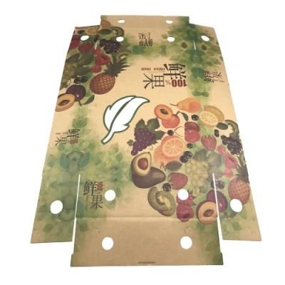 Folding Corrugated Paper Carton Box for Fruits