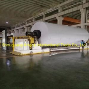 70/80GSM Copy Paper of Jumbo Roll Use for Cut A4 Size