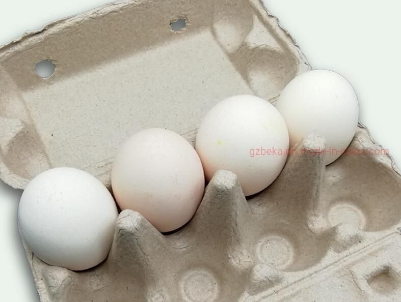 Custom Logo Eco Friendly Bagasse Paper Bamboo Pulp Molding Packing 8 Holes Egg Tray for Protection